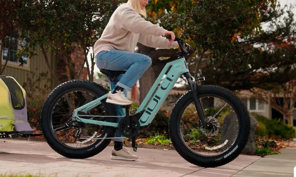 Bici Elettrica Da Fuoristrada 26" Ruote Grasse Bici Da Montagna 52V 15Ah