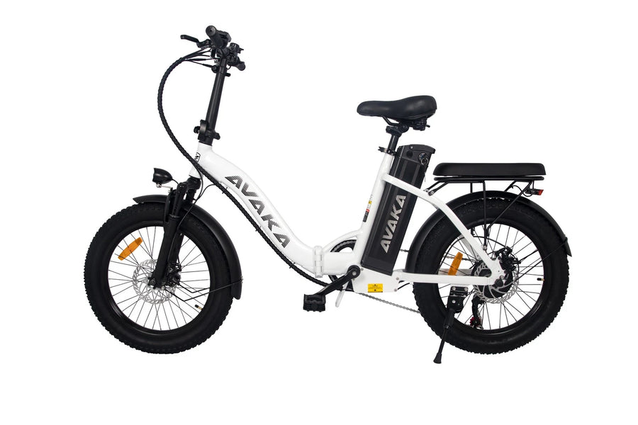 Bici elettrica pieghevole adulti 48V 873.6Wh 20" ruote grasse autonomia 100km