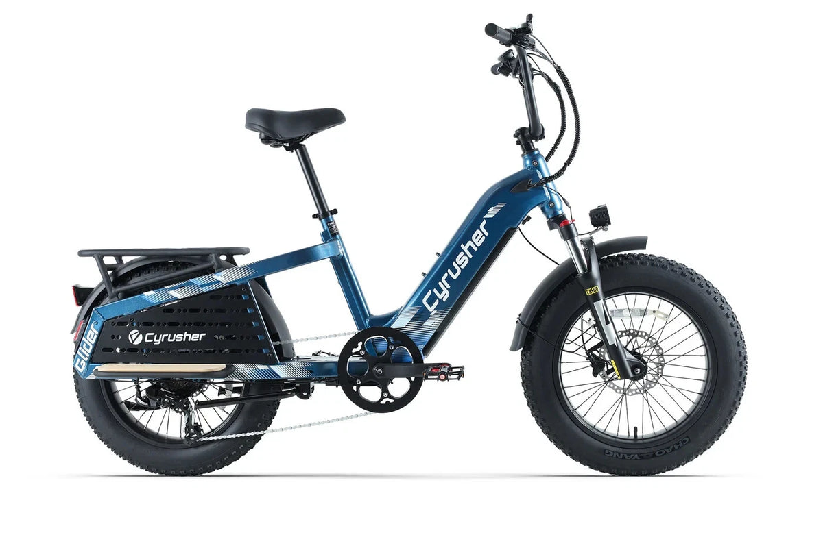 Bici Elettrica Da Carico 250W 15,6Ah Autonomia 100 km Bici Per Tutti I Terreni