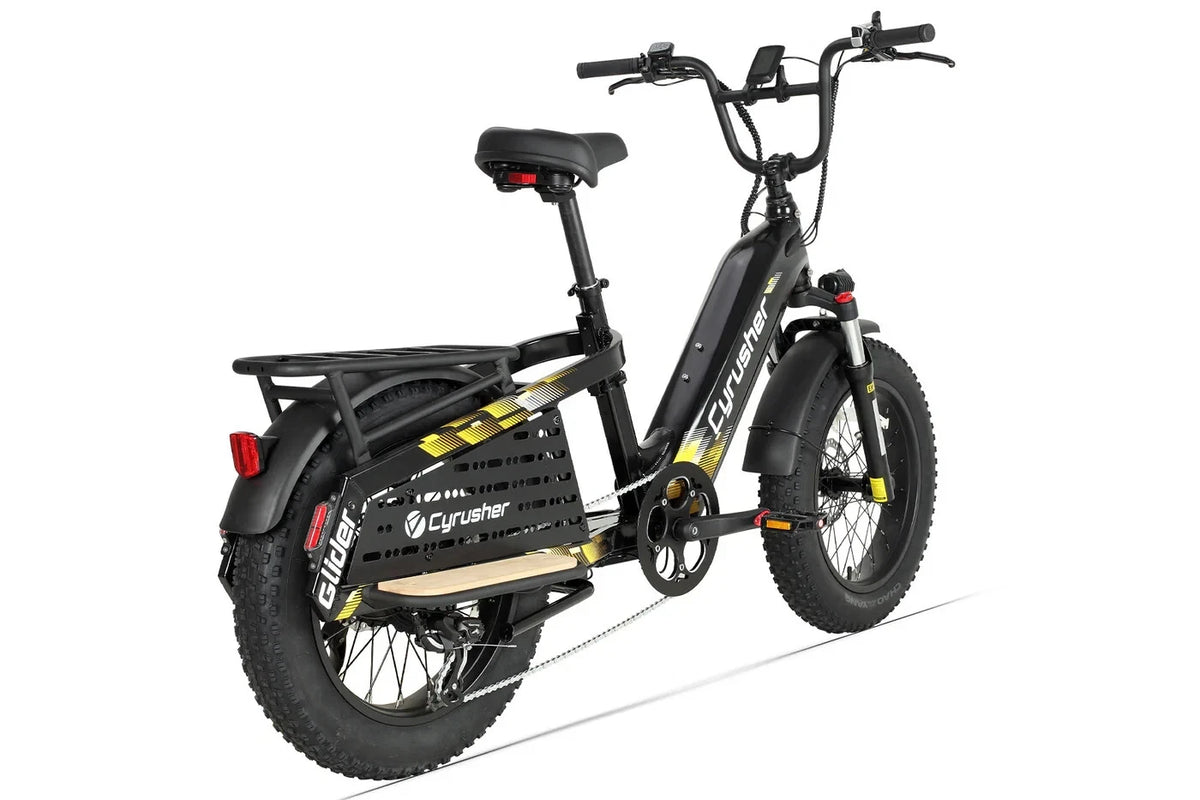 Bici Elettrica Da Carico 250W 15,6Ah Autonomia 100 km Bici Per Tutti I Terreni