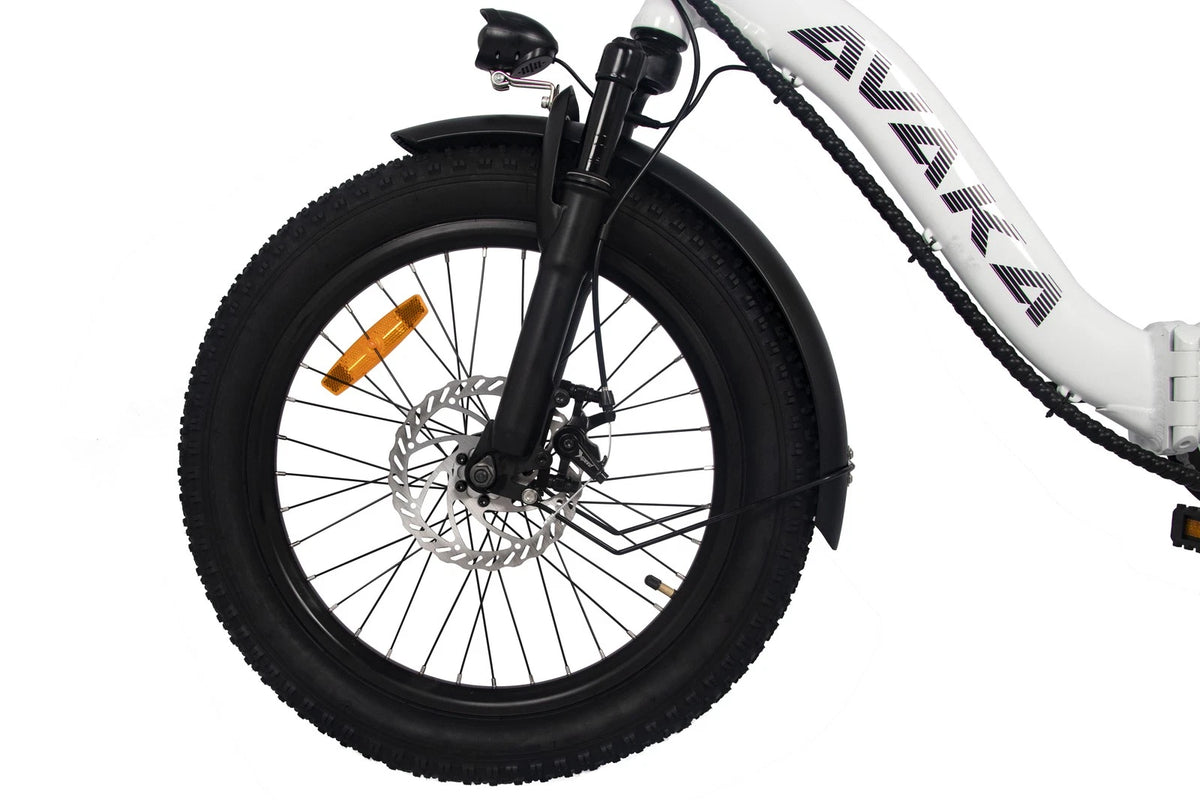 Bici elettrica pieghevole adulti 48V 873.6Wh 20" ruote grasse autonomia 100km
