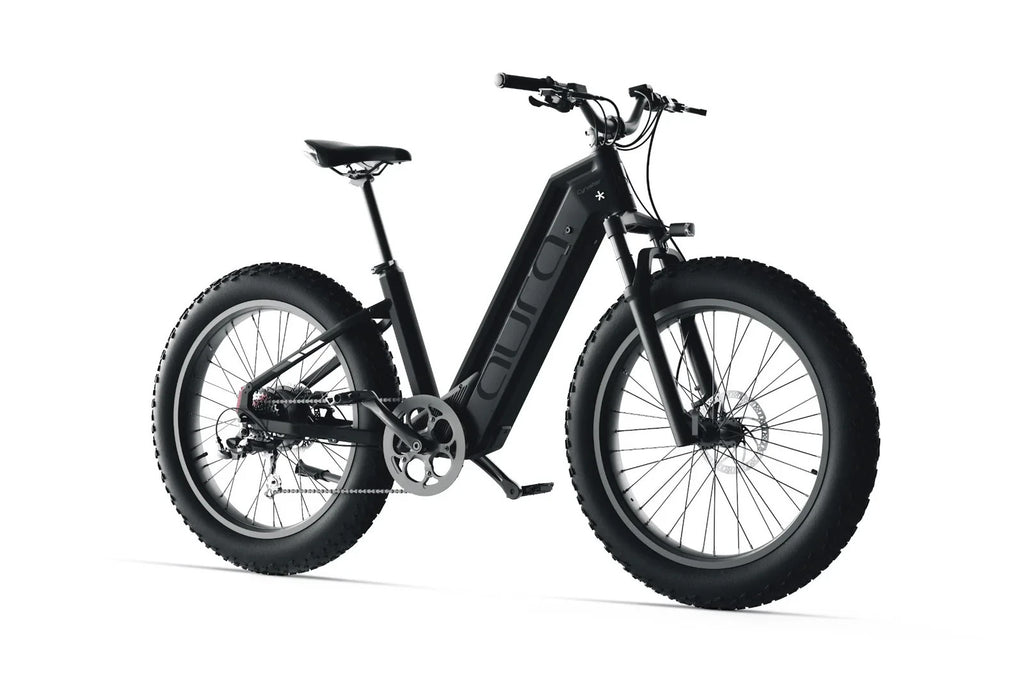 Bici Elettrica Da Fuoristrada 26" Ruote Grasse Bici Da Montagna 52V 15Ah
