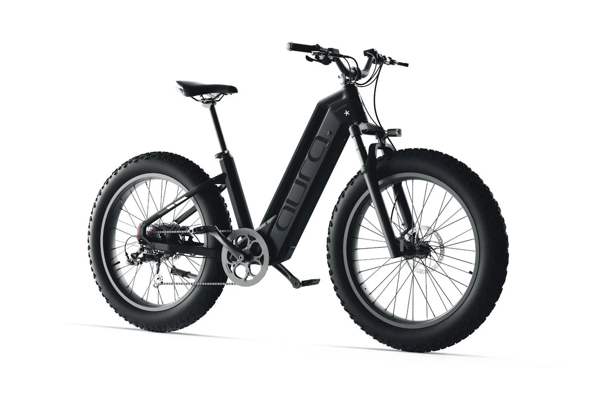 Bici Elettrica Da Fuoristrada 26" Ruote Grasse Bici Da Montagna 52V 15Ah