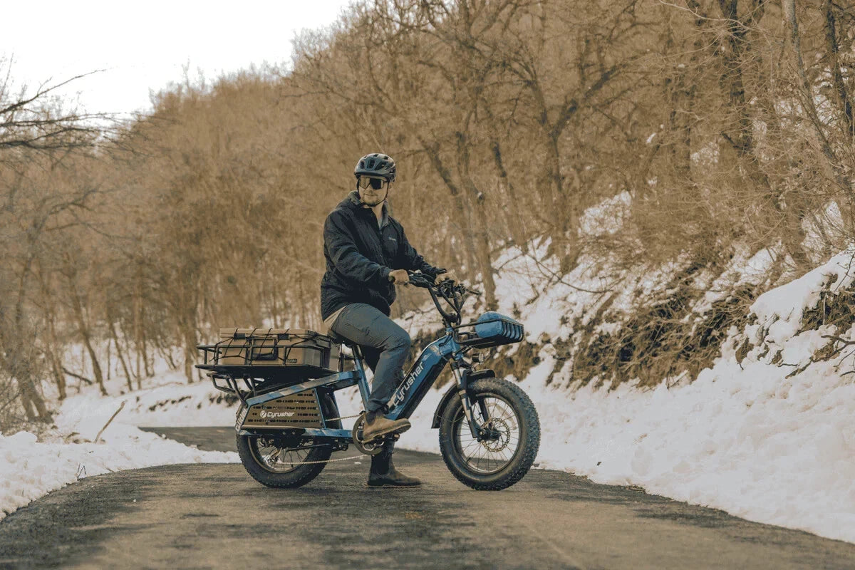 Bici Elettrica Da Carico 250W 15,6Ah Autonomia 100 km Bici Per Tutti I Terreni