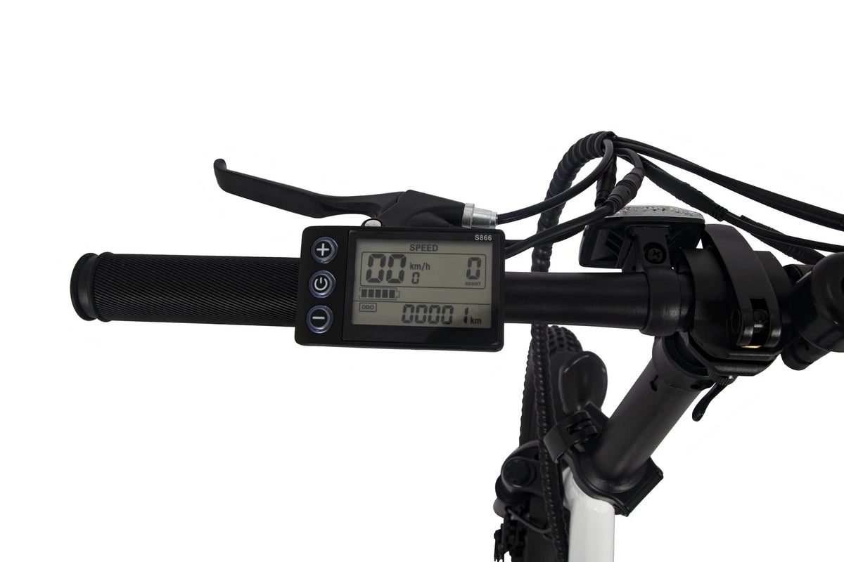 Bici elettrica pieghevole adulti 48V 873.6Wh 20" ruote grasse autonomia 100km