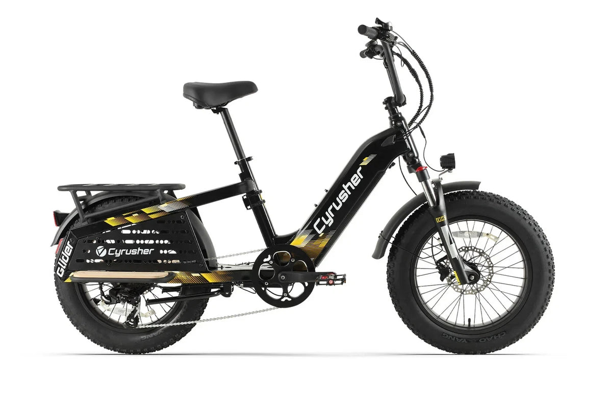 Bici Elettrica Da Carico 250W 15,6Ah Autonomia 100 km Bici Per Tutti I Terreni
