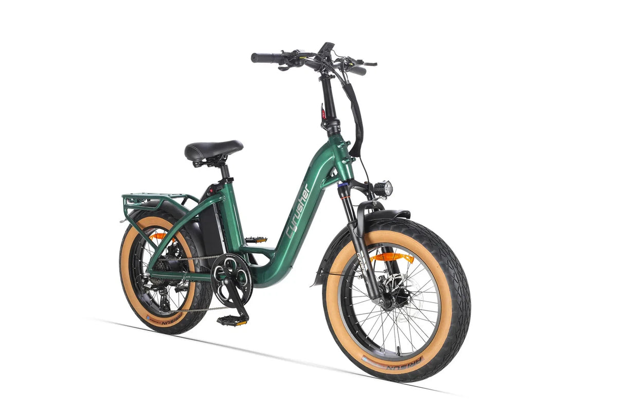 Bici Elettrica 48V 18Ah Luxe Telaio Passante Ruote Grasse 20" Per Città