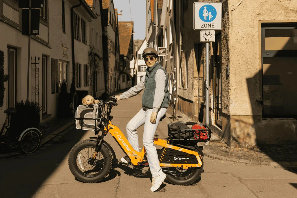 Bici Elettrica Da Carico 250W 15,6Ah Autonomia 100 km Bici Per Tutti I Terreni