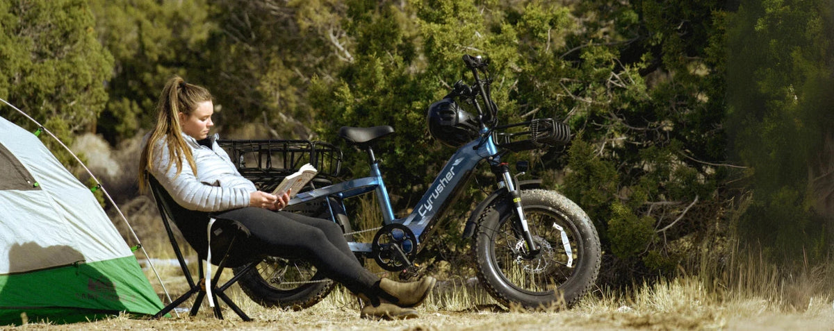Bici Elettrica Da Carico 250W 15,6Ah Autonomia 100 km Bici Per Tutti I Terreni