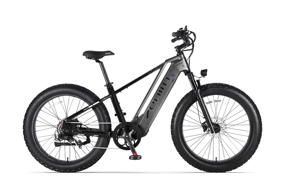 Bici elettrica da montagna E‑MTB 26" 250W 52V 20Ah tutti i terreni
