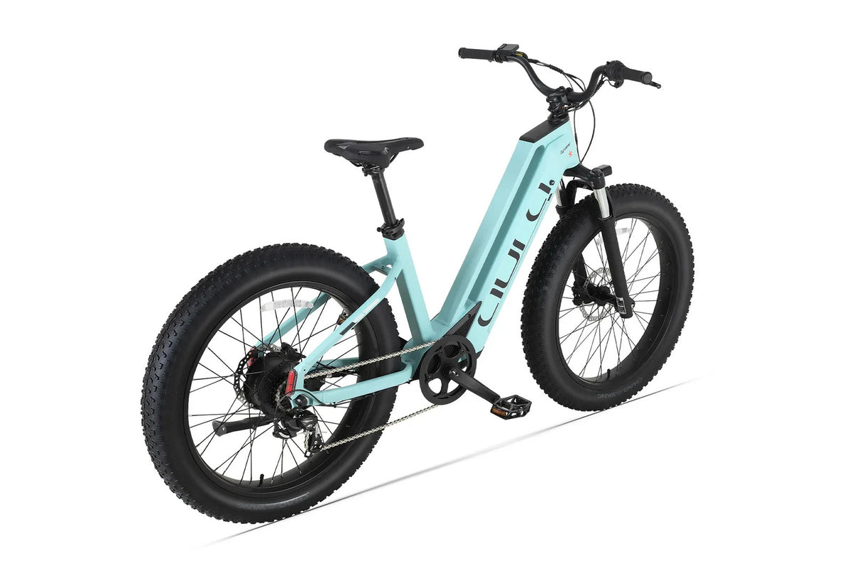 Bici Elettrica Da Fuoristrada 26" Ruote Grasse Bici Da Montagna 52V 15Ah