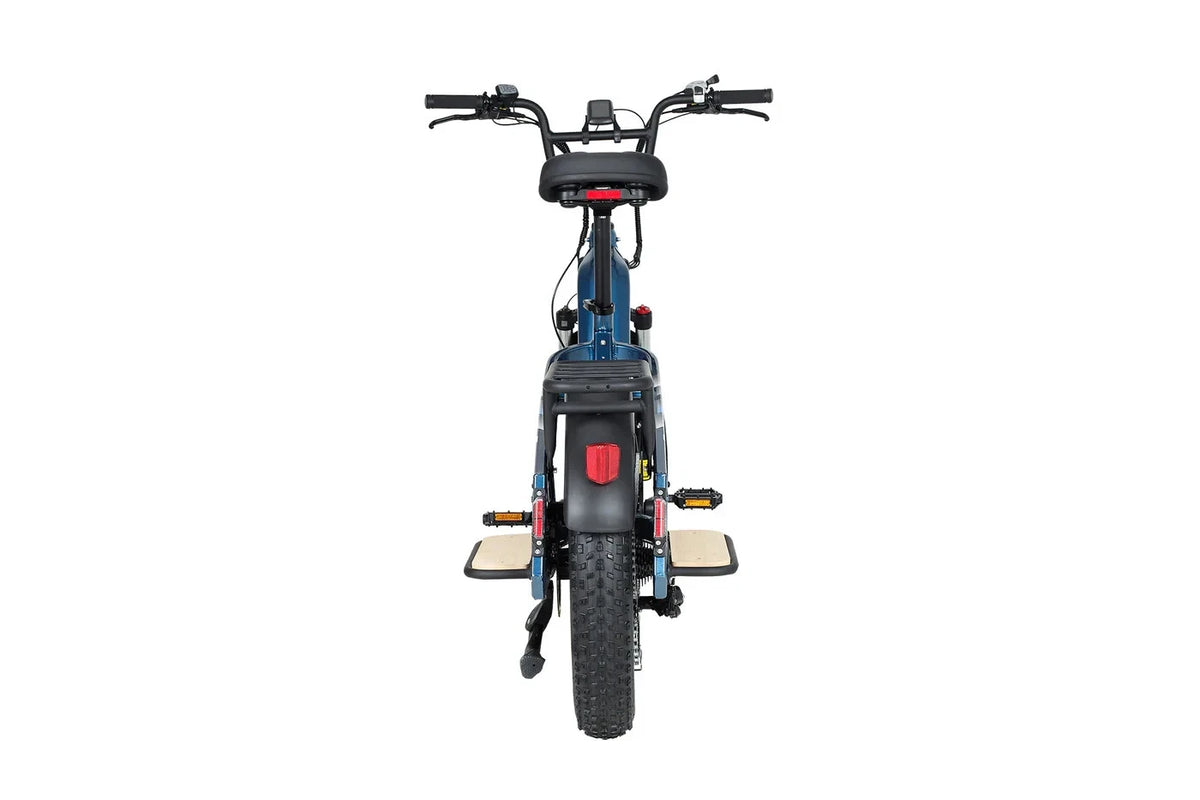 Bici Elettrica Da Carico 250W 15,6Ah Autonomia 100 km Bici Per Tutti I Terreni
