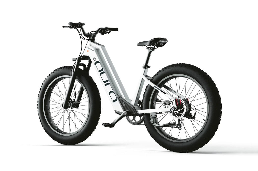 Bici Elettrica Da Fuoristrada 26" Ruote Grasse Bici Da Montagna 52V 15Ah