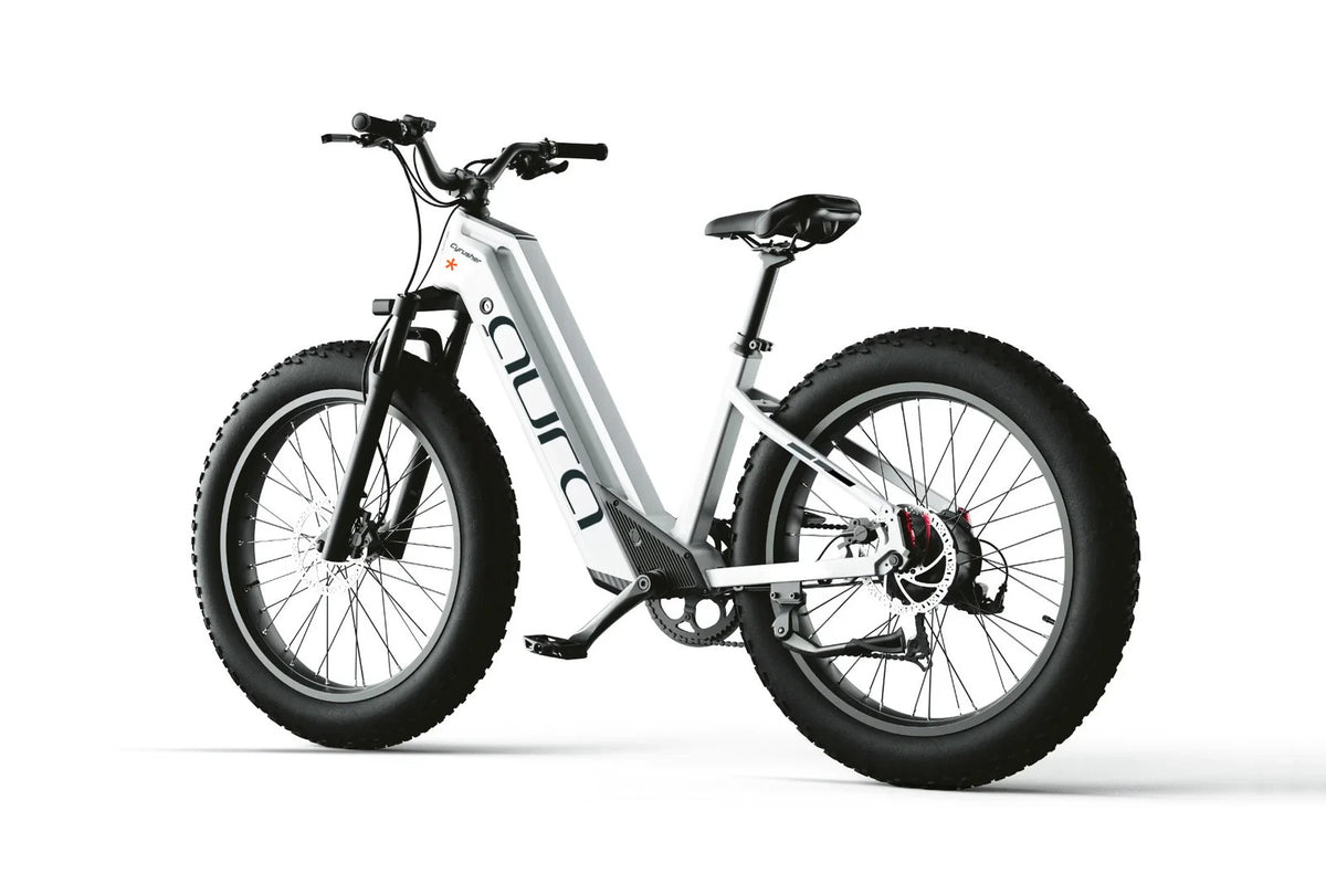 Bici Elettrica Da Fuoristrada 26" Ruote Grasse Bici Da Montagna 52V 15Ah