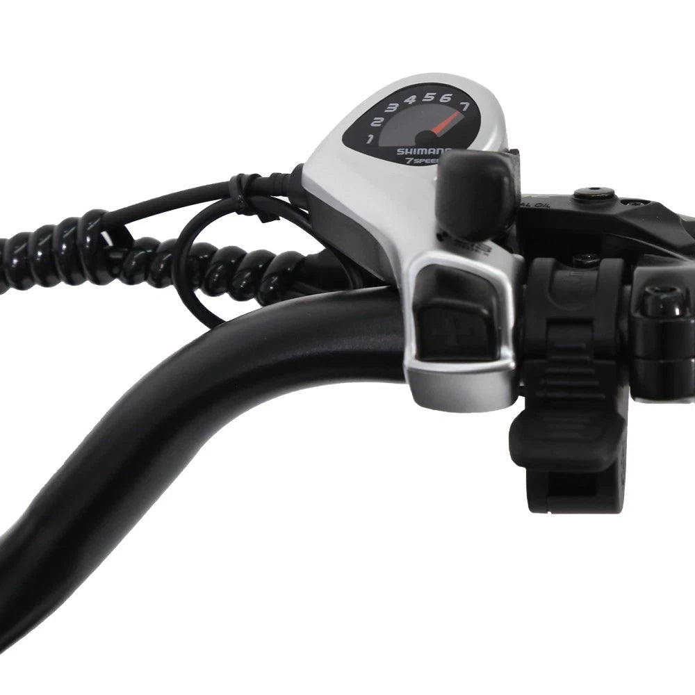 Bicicletta Elettrica 48v Batteria 960wh Motore 1000w Pneumatico Grosso 20"