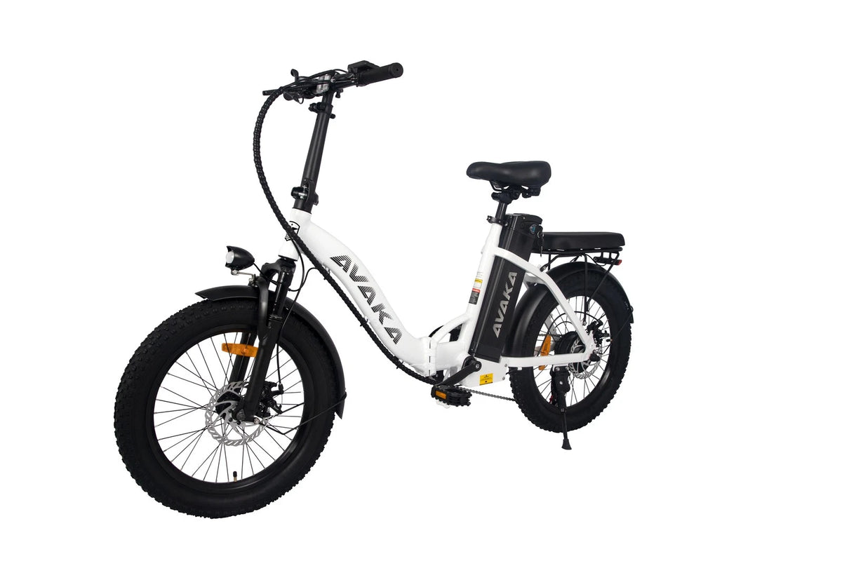 Bici elettrica pieghevole adulti 48V 873.6Wh 20" ruote grasse autonomia 100km