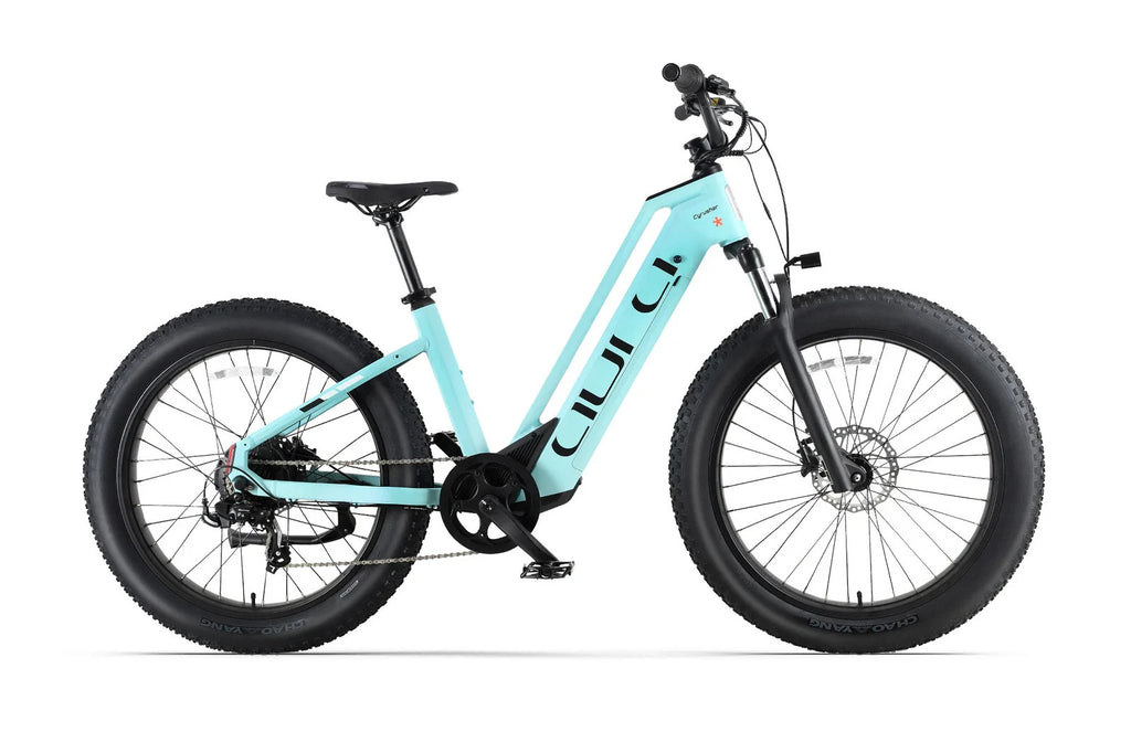 Cyrusher Aura Electric Mountain Bike All-Terrain 26Inch 750W 52V15Ah E-Bike MTB