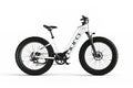 Cyrusher Aura Electric Mountain Bike All-Terrain 26Inch 750W 52V15Ah E-Bike MTB