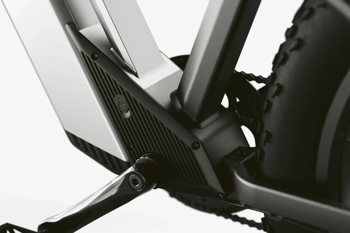 Bici elettrica da montagna E‑MTB 26" 250W 52V 20Ah tutti i terreni