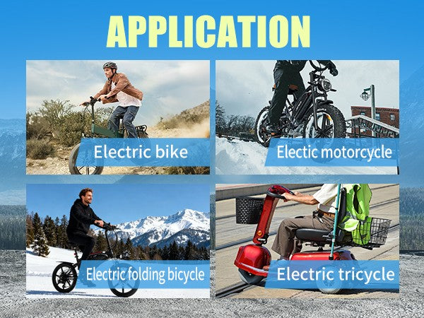 Batteria agli ioni di litio 36V 6Ah 2 fili per Jetson Bolt Pro bici elettrica