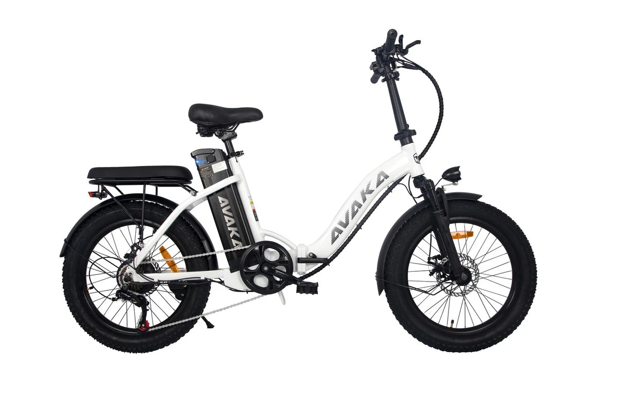 Bici elettrica pieghevole adulti 48V 873.6Wh 20" ruote grasse autonomia 100km