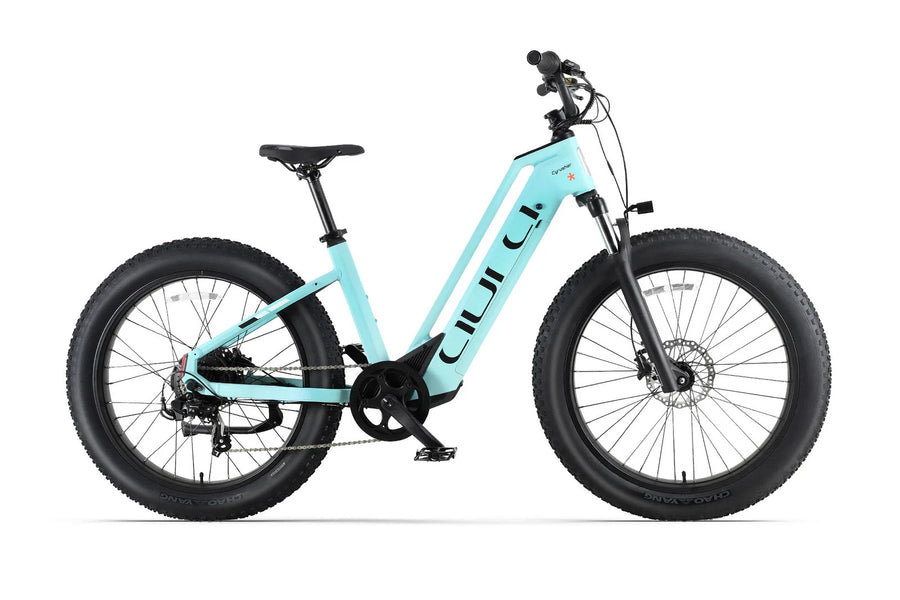 Bici Elettrica Da Fuoristrada 26" Ruote Grasse Bici Da Montagna 52V 15Ah