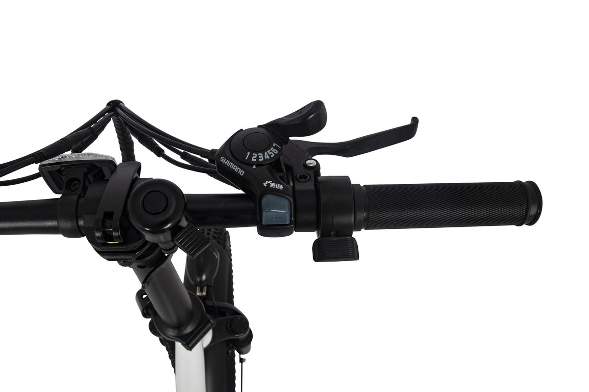 Bici elettrica pieghevole adulti 48V 873.6Wh 20" ruote grasse autonomia 100km
