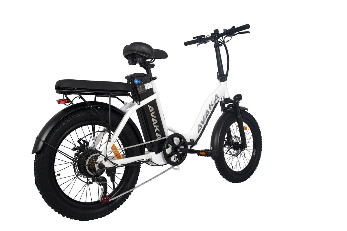 Bici elettrica pieghevole adulti 48V 873.6Wh 20" ruote grasse autonomia 100km